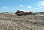 RS encerra plantio de arroz com área menor do que a prevista; entenda