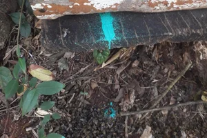 UCAPI / Divulgação