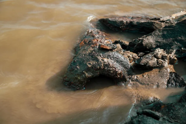 Rafael Amon-Ha / Divulgação image