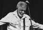De Almôndegas a Gilberto Gil, confira shows que estarão nos palcos de Porto Alegre em março
