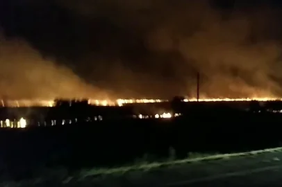 Incêndio atinge vegetação na BR-290, em Eldorado do Sul; veja vídeo<!-- NICAID(16032581) -->