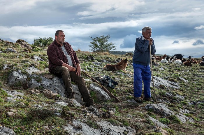 Festival Varilux / Divulgação