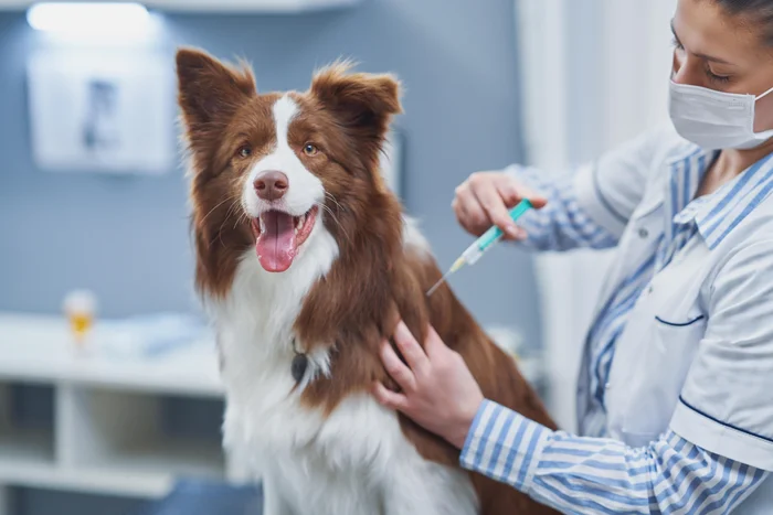 Kamil Macniak / adobe.stock.com