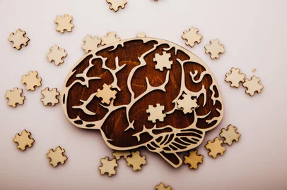 *A PEDIDO DE GABRIELA PERUFO* Brain with wooden puzzles. Mental Health and problems with memory. - Foto: burdun/stock.adobe.comIndexador: ILYABURDUNFonte: 427841346<!-- NICAID(15169691) -->