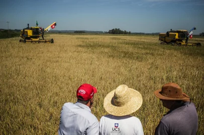 MST reúne 4 mil pessoas para celebrar a maior produção de arroz orgânico da América Latina<!-- NICAID(15378836) -->