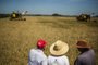 MST reúne 4 mil pessoas para celebrar a maior produção de arroz orgânico da América Latina<!-- NICAID(15378836) -->