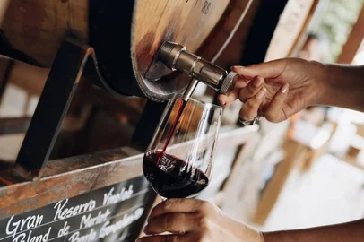 Festa da Barrica no VinoLab, vinho, gramado, destemperados<!-- NICAID(15994362) -->