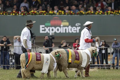 Esteio, RS, Brasil, 30-08-2024: Desfile de grandes campeões durante a solenidade de abertura da Expointer 2024 no Parque de Exposições Assis Brasil. Foto: Mateus Bruxel / Agência RBSIndexador: MATEUS BRUXEL<!-- NICAID(15854495) -->