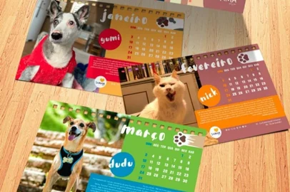Calendário Soama 2022<!-- NICAID(14889129) -->