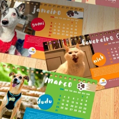 Calendário Soama 2022<!-- NICAID(14889129) -->