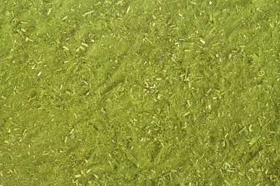 Herb background for mate and yerba mate leavesFonte: 517090438<!-- NICAID(15644308) -->