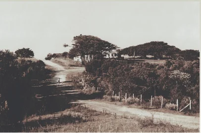 Cenário da chácara das Figueiras, que deu origem ao bairro Três Figueiras. Área do Colégio Farroupilha.<!-- NICAID(16002693) -->