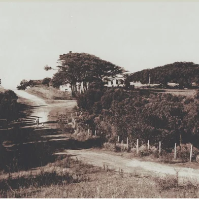 Cenário da chácara das Figueiras, que deu origem ao bairro Três Figueiras. Área do Colégio Farroupilha.<!-- NICAID(16002693) -->