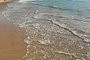 Hanalei Beach, Kauai, Hawaii - jerzy/Adobe Stock Fonte: 396149713<!-- NICAID(15281835) -->