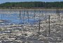 Eventos climáticos podem levar milhões de brasileiros à pobreza extrema, diz relatório do Banco Mundial