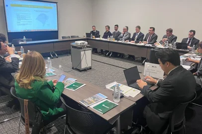 Mesmo com "bala na agulha", japoneses querem muito saber dos impostos para investir em hidrogênio verde no RS<!-- NICAID(15917321) -->
