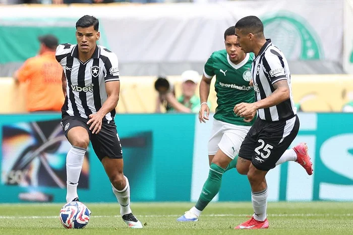 Vítor Silva / Botafogo Vítor Silva / Botafogo
