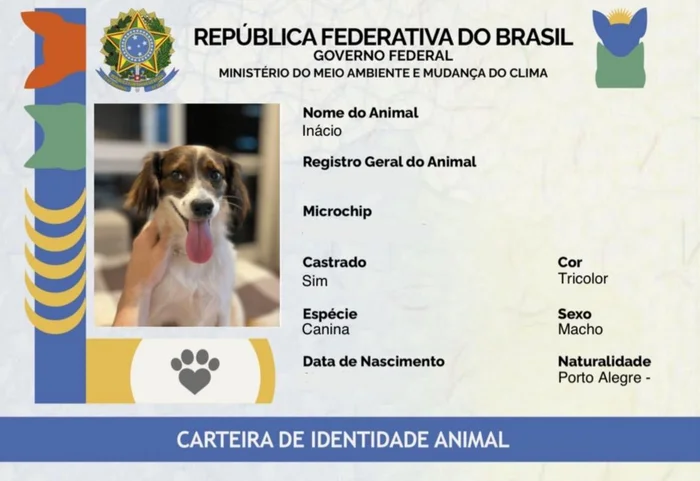 Vitor Netto / Agência RBS Vitor Netto / Agência RBS