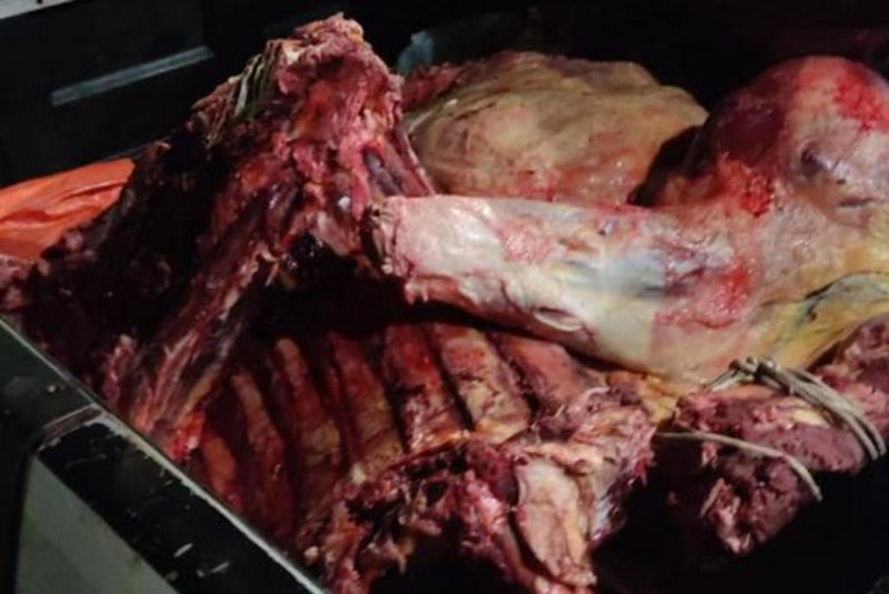 Dupla é presa por furto de 300 quilos de carne em Alegrete<!-- NICAID(15233630) -->