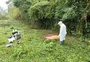 Confirmado caso de raiva herbívora em bovino no município de Crissiumal