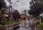 Chuva forte provoca quedas de árvores em Caxias do Sul e região