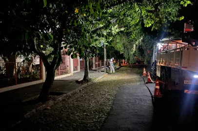 Árvores caem em fios e deixam bairros da zona norte de Porto Alegre sem luz<!-- NICAID(15709338) -->