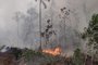 Incêndio atinge o Morro da Cruz, em Galópolis<!-- NICAID(14980992) -->