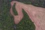 Transporte ilegal de madeira e 8 hectares de desmatamento são flagrados no norte do RS Foto: 3° BABM<!-- NICAID(15639912) -->