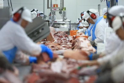 SANTA ROSA, RS, BRASIL - Alibem é uma empresa brasileira do ramo alimentício, fundada no ano de 2000 no Rio Grande do Sul. Atua no segmento de proteína animal, tendo como base duas marcas: a ALIBEM, produtora de carne suína e a AGRA, produtora de carne bovina. Fotos feitas na unidade de Santa Rosa, onde são abatidos 3.100 porcos ao dia.Indexador: Jefferson Botega<!-- NICAID(14069860) -->