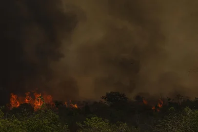 BrasÃ­lia (DF), 16/09/2024 - Grandes focos de incÃªndio atingem Ã¡reas do Parque Nacional de BrasÃ­lia. Foto: Marcelo Camargo/AgÃªncia BrasilBrasília (DF), 16/09/2024 - Grandes focos de incêndio atingem áreas do Parque Nacional de Brasília. Foto: Marcelo Camargo/Agência BrasilLocal: BrasÃ­liaIndexador: Marcelo Camargo/AgÃªncia BrasilFonte: AgÃªncia Brasil/Empresa Brasil dFotógrafo: Reporter Fotografico<!-- NICAID(15867885) -->