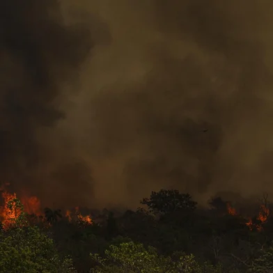 BrasÃ­lia (DF), 16/09/2024 - Grandes focos de incÃªndio atingem Ã¡reas do Parque Nacional de BrasÃ­lia. Foto: Marcelo Camargo/AgÃªncia BrasilBrasília (DF), 16/09/2024 - Grandes focos de incêndio atingem áreas do Parque Nacional de Brasília. Foto: Marcelo Camargo/Agência BrasilLocal: BrasÃ­liaIndexador: Marcelo Camargo/AgÃªncia BrasilFonte: AgÃªncia Brasil/Empresa Brasil dFotógrafo: Reporter Fotografico<!-- NICAID(15867885) -->