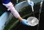 Número de casos de dengue confirmados em 2024 em Caxias já iguala todo o ano passado