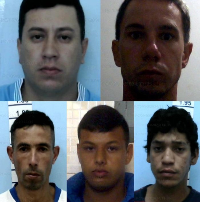 Divulgação / Divulgação Divulgação / Divulgação