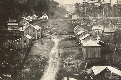 Vista parcial da antiga rua Silveira Martins, conhecida também como Rua Grande, atual Av. Júlio de Castilhos. Colônia Caxias, atual município de Caxias do Sul, 1878.Autoria: Domingos Mancuso.Doação: Francisco Fortuna.<!-- NICAID(13812967) -->