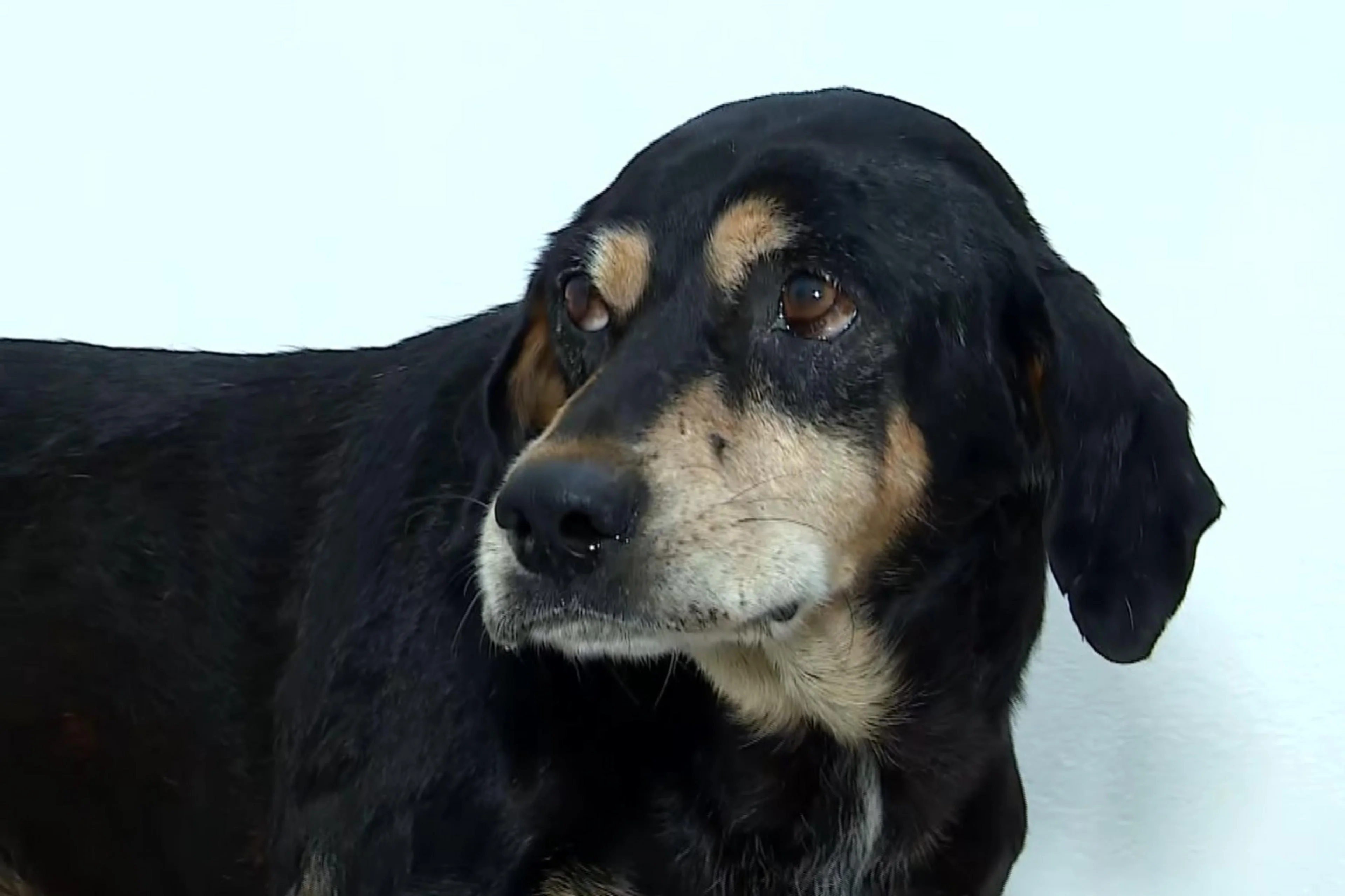 Marcos Hofmann/RBS TV