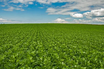 Secretaria da Agricultura inicia estudo sobre o Balanço de Gases de Efeito Estufa em áreas de produção de soja<!-- NICAID(15375949) -->