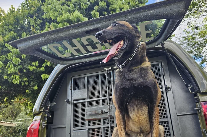 Tatiana Tramontina / Agencia RBS Tatiana Tramontina / Agencia RBS