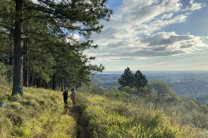 Trilha no Morro Santana, em Porto Alegre, organizada pelo projeto de extensão da UFRGS Preserve o Morro Santana. O trajeto passa pela Vila das Laranjeiras e culmina no ponto mais alto de Porto Alegre.<!-- NICAID(15485006) -->