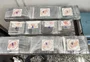 Duas mulheres são presas com quase 12 quilos de cocaína no aeroporto Salgado Filho