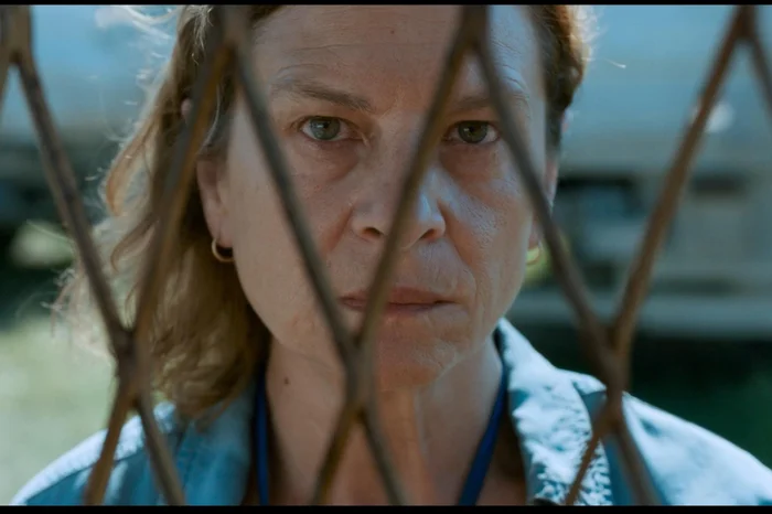 Synapse Distribution / Divulgação