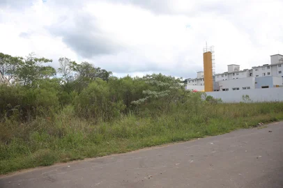 CAXIAS DO SUL, RS, BRASIL, 17/03/2025. Há uma década abrigada em outras instituições, Escola Governador Leonel Brizola terá sede própria no próximo ano letivo em Caxias. O prédio da nova instituição de ensino será erguido na Rua Joaquim Longo, ao lado da Escola de Educação Infantil Suzel Serafini, no loteamento Campos da Serra. (Porthus Junior/agência RBS)<!-- NICAID(15997475) -->