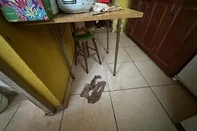 Duas irmãs, de 90 e 92 anos, foram resgatadas de uma situação de abandono em um apartamento no bairro Nonoai, na zona sul de Porto Alegre.<!-- NICAID(16083133) -->