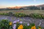 Nebulosidade, pancadas de chuva e baixas temperaturas devem marcar a próxima semana na Serra<!-- NICAID(15483648) -->