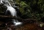 Refúgios no Litoral Norte: conheça quatro propriedades rurais que oferecem tranquilidade e contato com a natureza