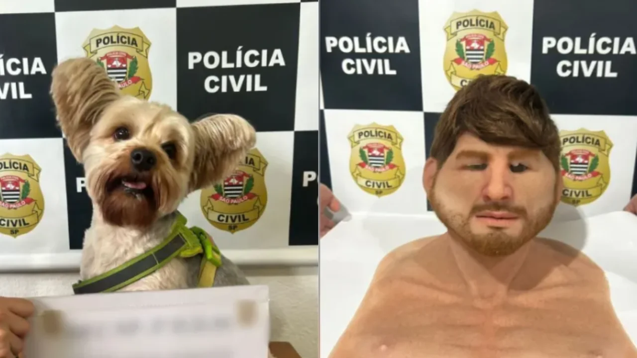 Reprodução