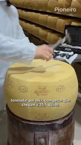 Conheça a produção de maçãs e queijos da empresa fundada por Raul Anselmo Randon