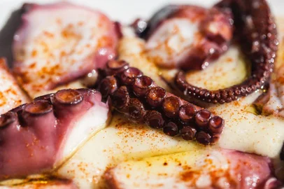 Xavier Gamez, frutos do mar, cook show, destemperados, casa destemperados, culinária, polvo<!-- NICAID(13644734) -->