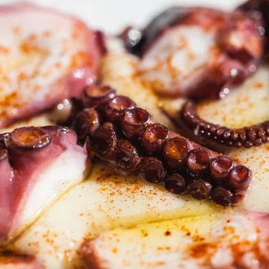 Xavier Gamez, frutos do mar, cook show, destemperados, casa destemperados, culinária, polvo<!-- NICAID(13644734) -->