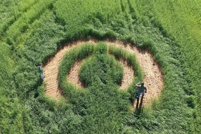 Sinal em fazenda em Vale Verde - Foto: Rafael Fernando Lunkes @rafaellunkes/Instagram/Reprodução<!-- NICAID(15516055) -->