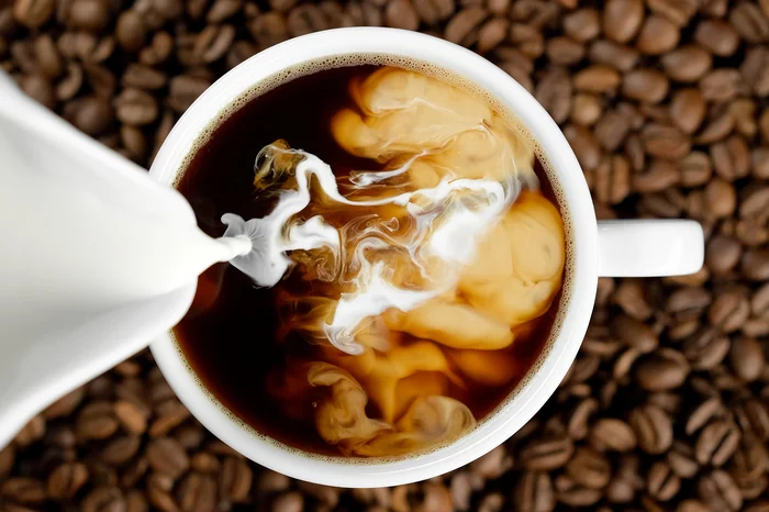 Reprodução / adobe.stock.com